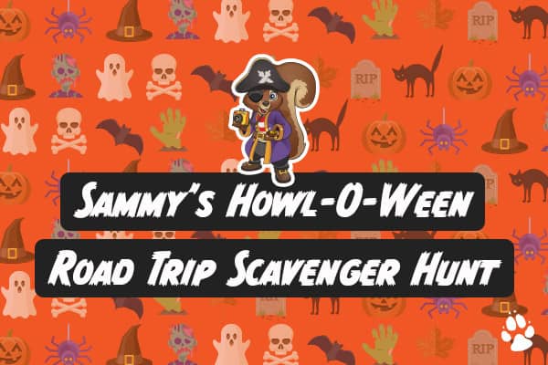 spooky road trip